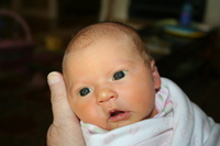 IMG_4851.jpg