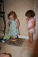 dogbowl09.jpg